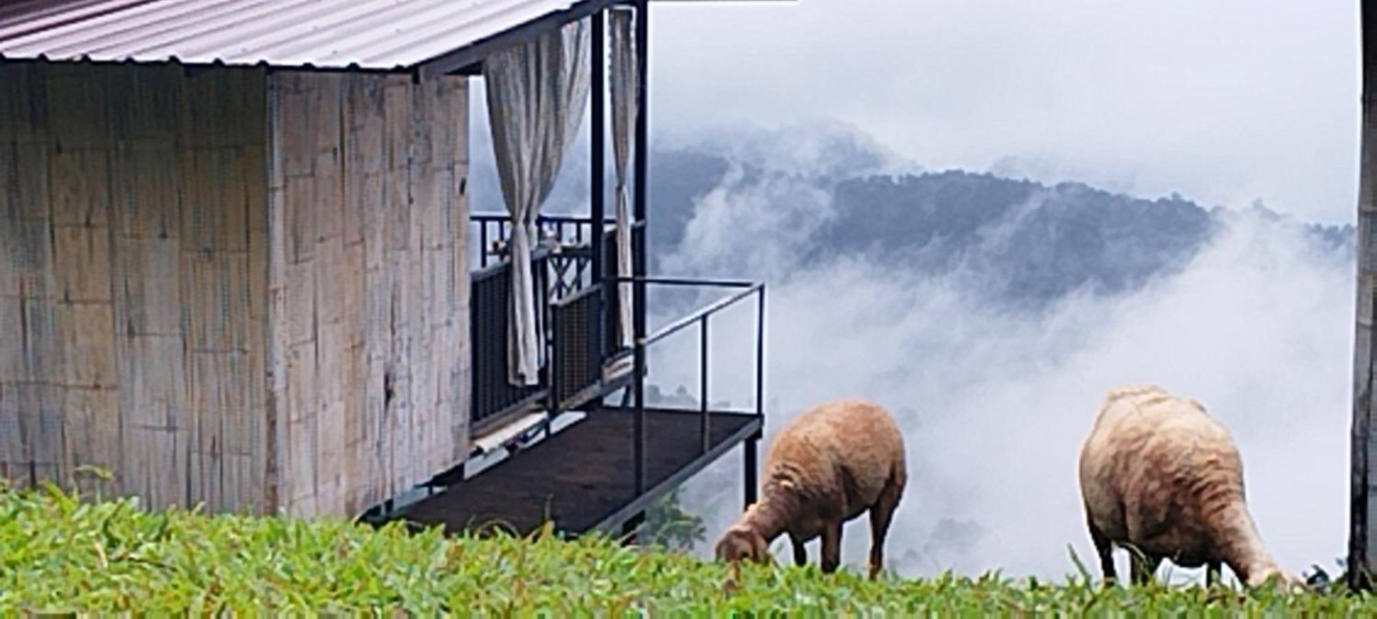 Campo de lujo แจ่มฟ้าเมาท์เท่นวิว Chaemfa Mountain View